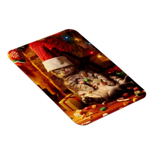 Katze mit Strumpf auf Kopf Magnet (Rechte Seite)