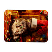 Katze mit Strumpf auf Kopf Magnet (Horizontal)