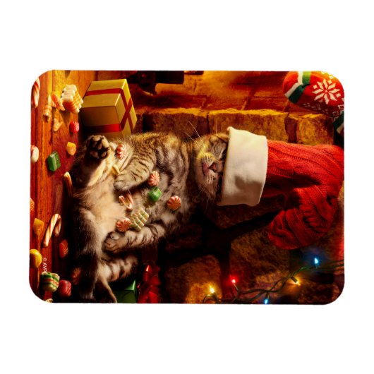 Katze mit Strumpf auf Kopf Magnet (Horizontal)