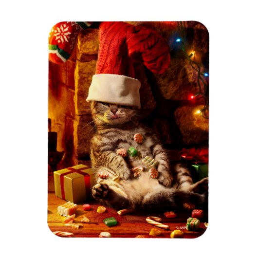 Katze mit Strumpf auf Kopf Magnet (Vertikal)