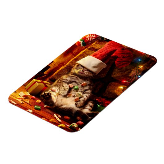 Katze mit Strumpf auf Kopf Magnet (Linke Seite)