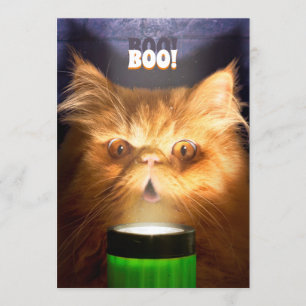 Katze mit Taschenlampe Einladung