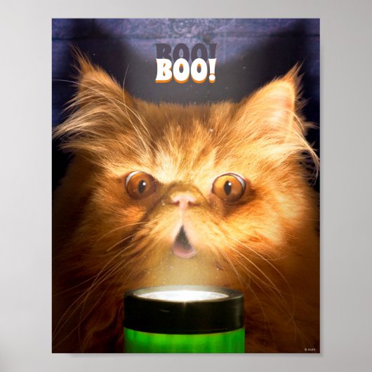 Katze mit Taschenlampe Poster (Vorne)