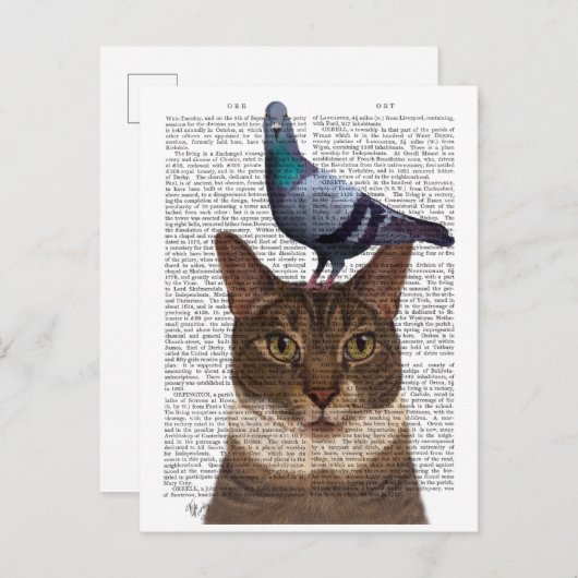 Katze mit Taube auf Kopf Postkarte (Vorne/Hinten)