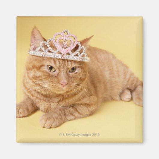 Katze mit Tiara Magnet (Vorne)