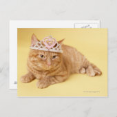 Katze mit Tiara Postkarte (Vorne/Hinten)