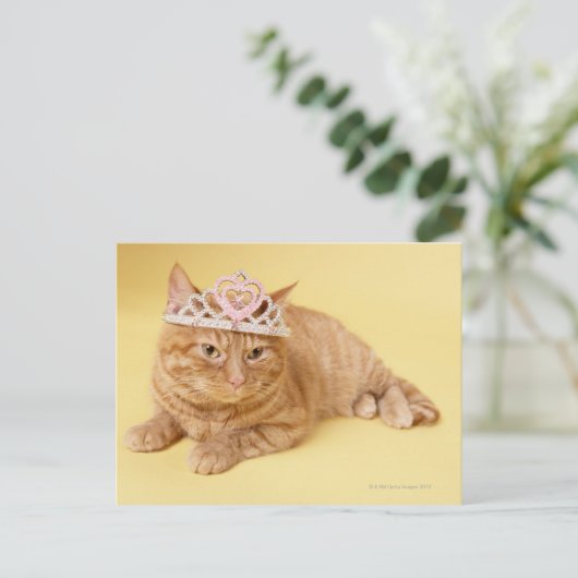 Katze mit Tiara Postkarte (Stehend Vorderseite)