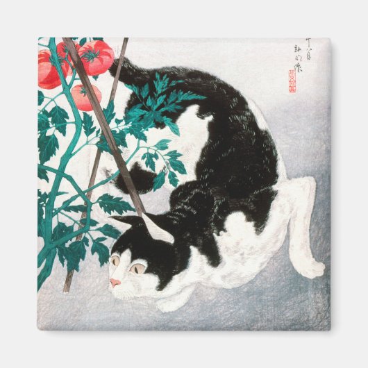 Katze mit Tomato-Pflanze (1931) von Hiroaki Takaha Magnet (Vorne)