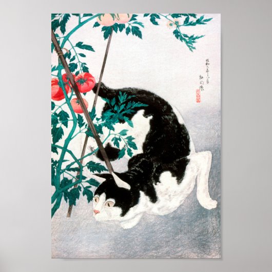 Katze mit Tomato-Pflanze (1931) von Hiroaki Takaha Poster (Vorne)