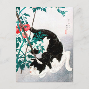 Katze mit Tomato-Pflanze (1931) von Hiroaki Takaha Postkarte