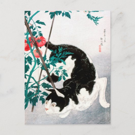 Katze mit Tomato-Pflanze (1931) von Hiroaki Takaha Postkarte (Vorderseite)