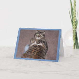 Katze mit Tube Geburtstagkarte Karte