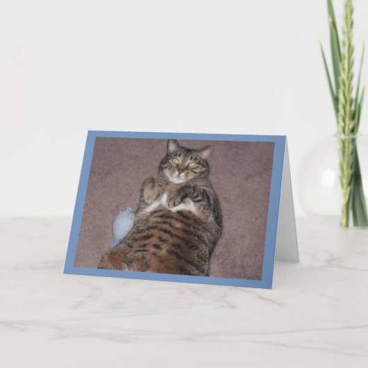 Katze mit Tube Geburtstagkarte Karte (Vorderseite)