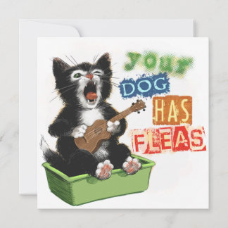 Katze mit Ukulele-Karte Feiertagskarte