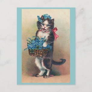 "Katze mit Vergissmeinnicht 2" Vintage Postkarte