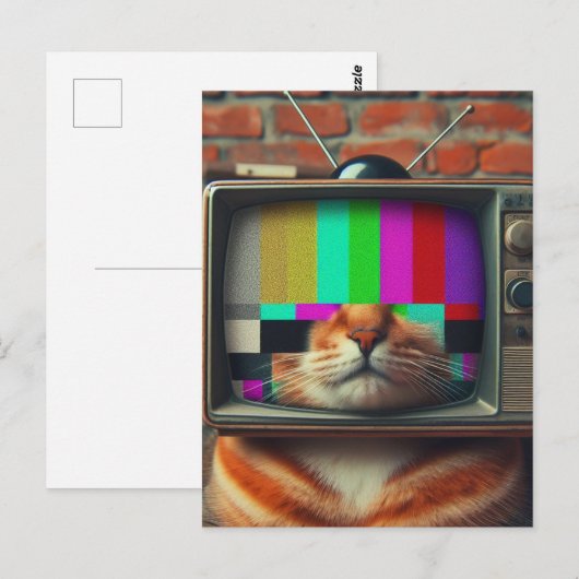 Katze mit Vintagem Fernseher Postkarte (Vorne/Hinten)