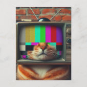 Katze mit Vintagem Fernseher Postkarte (Vorderseite)