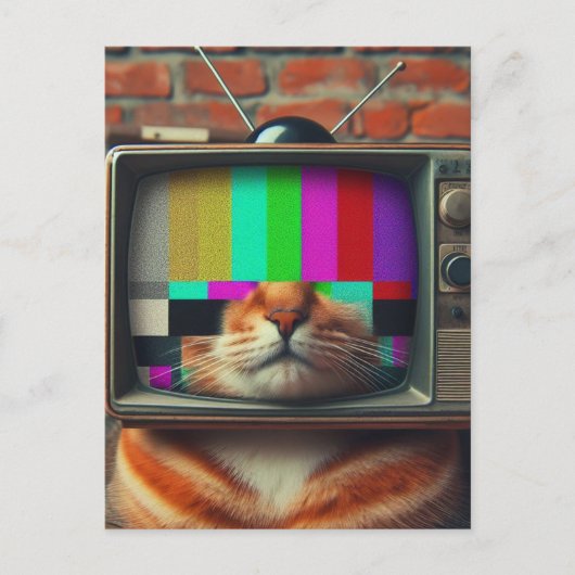 Katze mit Vintagem Fernseher Postkarte (Vorderseite)