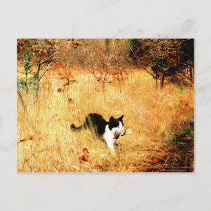 Katze mit Vogel im Maul Postkarte