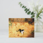 Katze mit Vogel im Mund Postkarte (Stehend Vorderseite)