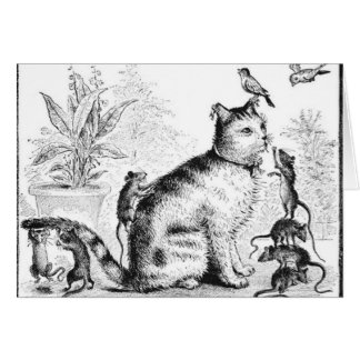 Katze mit Vögeln und Ratten