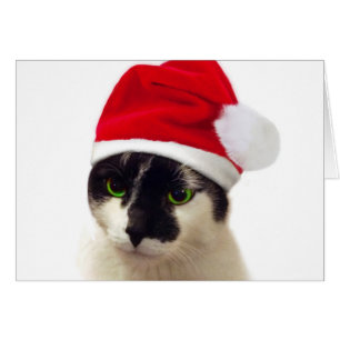 Katze mit Weihnachtsmannmütze Grußkarte