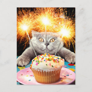 Katze mit Wunderkerze Cupcake Einladungspostkarte