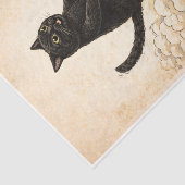 Katze mit Zoomies Seidenpapier (Ausschnitt)