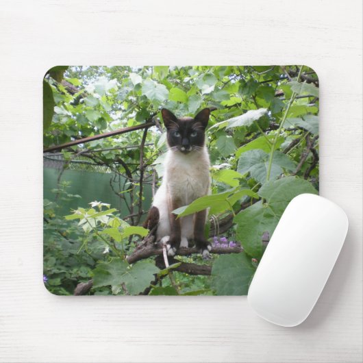 Katze mousepad (Mit Mouse)