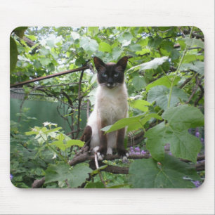 Katze mousepad