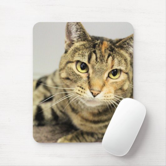 Katze Mousepad (Mit Mouse)