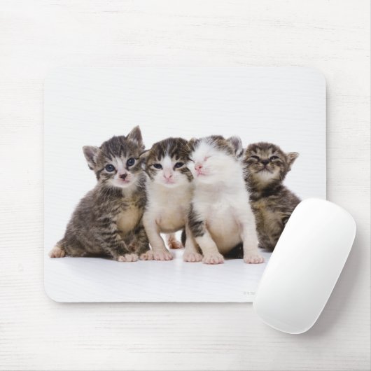 Katze Mousepad (Mit Mouse)