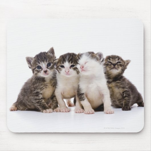 Katze Mousepad (Vorne)