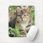 Katze Mousepad (Mit Mouse)