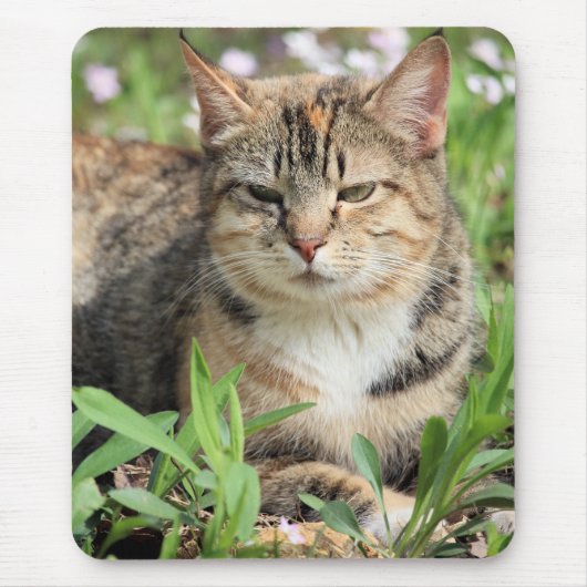 Katze Mousepad (Vorne)