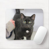 Katze Mousepad (Mit Mouse)