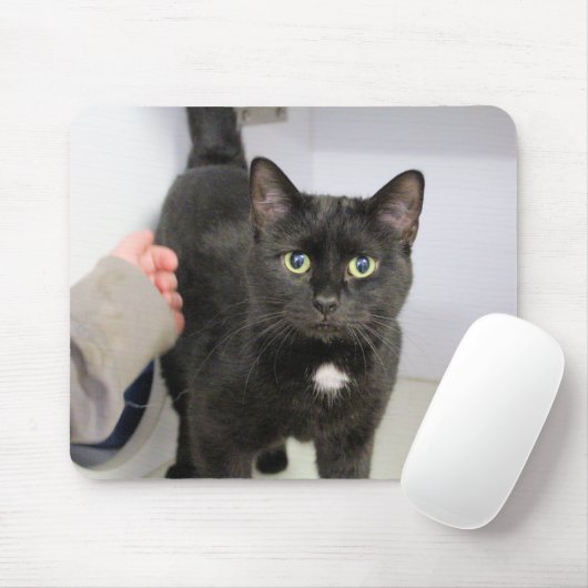 Katze Mousepad (Mit Mouse)