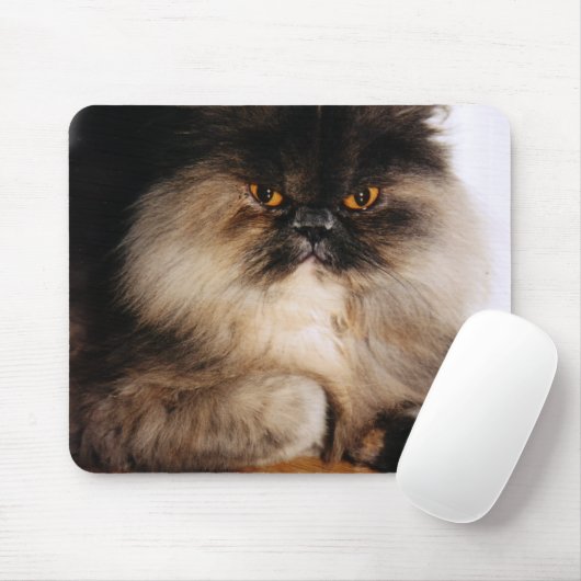 Katze Mousepad (Mit Mouse)