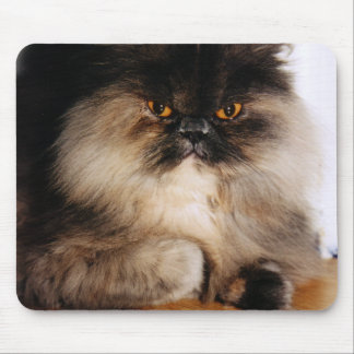 Katze Mousepad