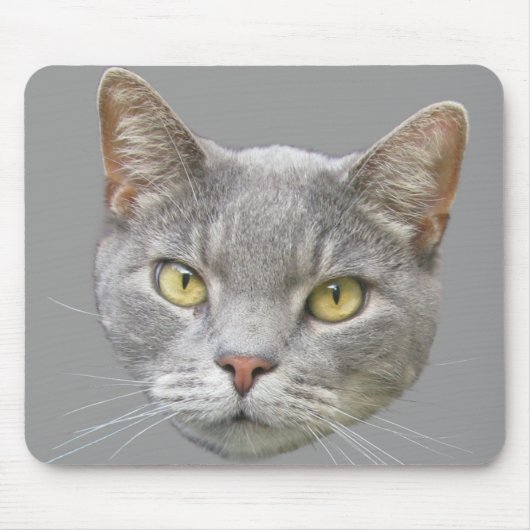 Katze Mousepad (Vorne)