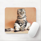 Katze Mousepad (Mit Mouse)