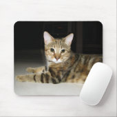 Katze Mousepad (Mit Mouse)