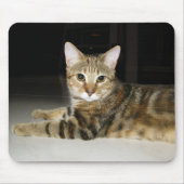 Katze Mousepad (Vorne)