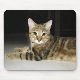 Katze Mousepad