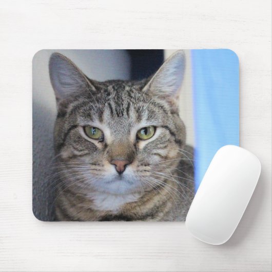 Katze Mousepad (Mit Mouse)