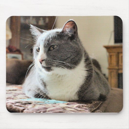 Katze Mousepad (Vorne)