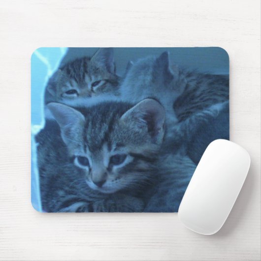 Katze mousepad (Mit Mouse)