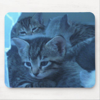 Katze mousepad