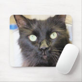 Katze Mousepad (Mit Mouse)