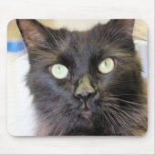 Katze Mousepad (Vorne)